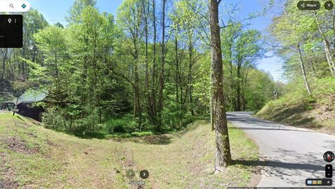 0 Silver Poplar Ln Tn Gatlinburg TN 37738