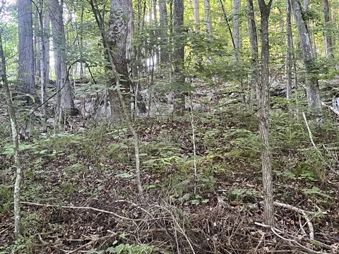 3507 Shadowbend Ln Clarksville TN 37043