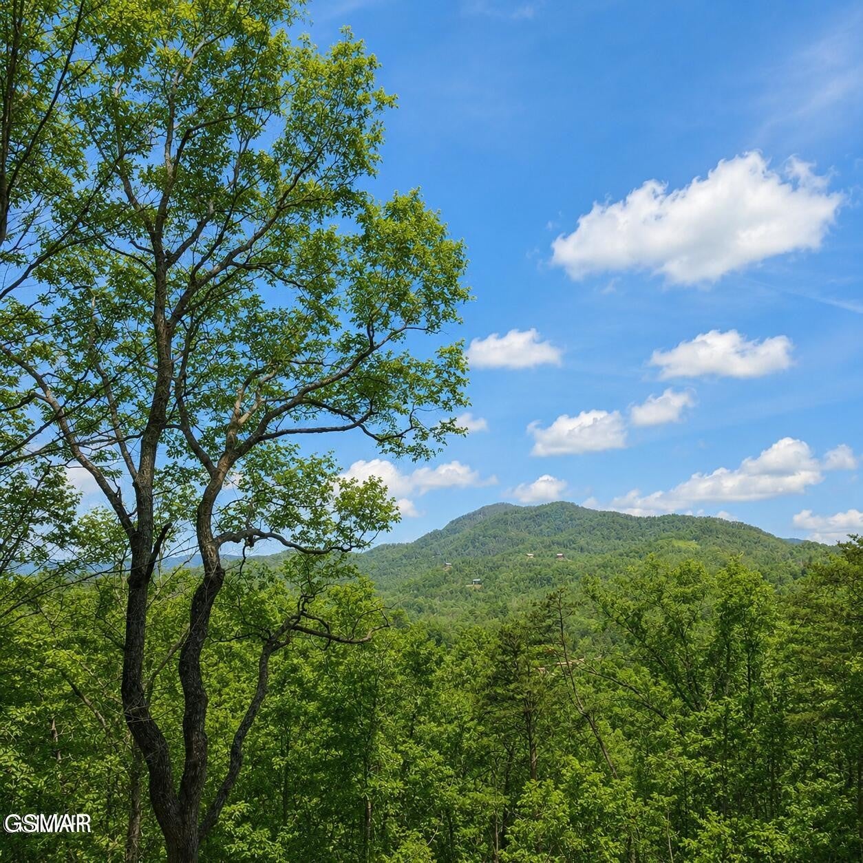 0 Grouse Ridge Lane