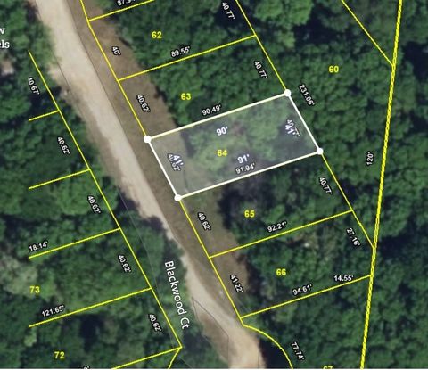 64 Blackwood Dr Nunnelly TN 37137