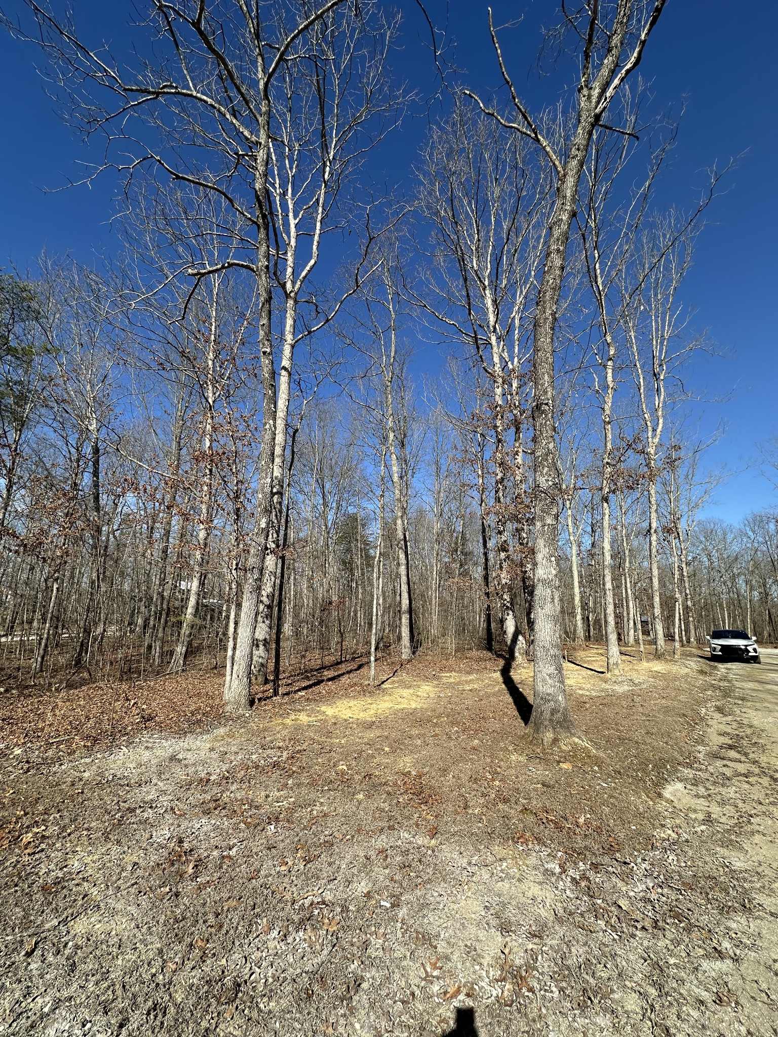 222 Sunset Bluff Way