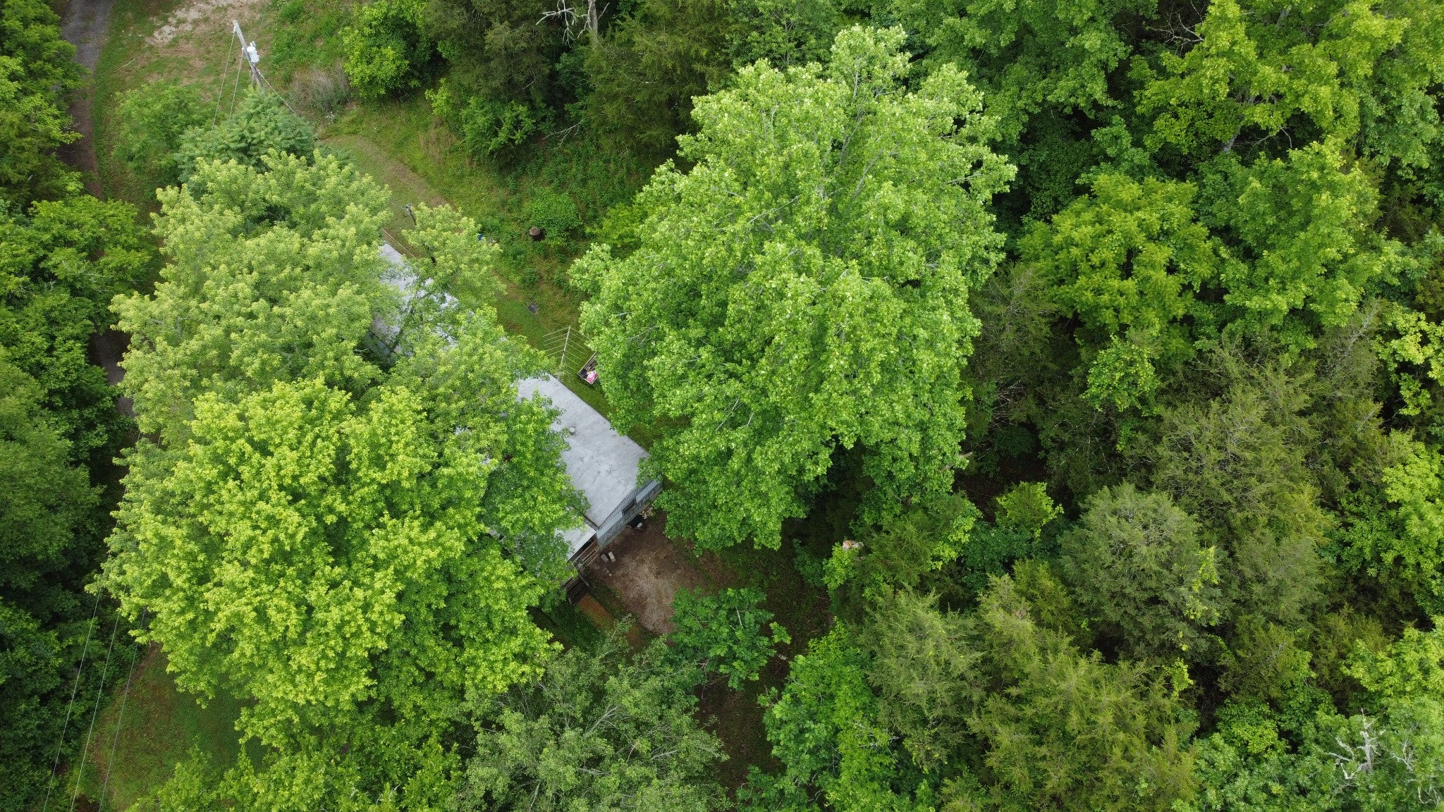 32 Patterson Ln