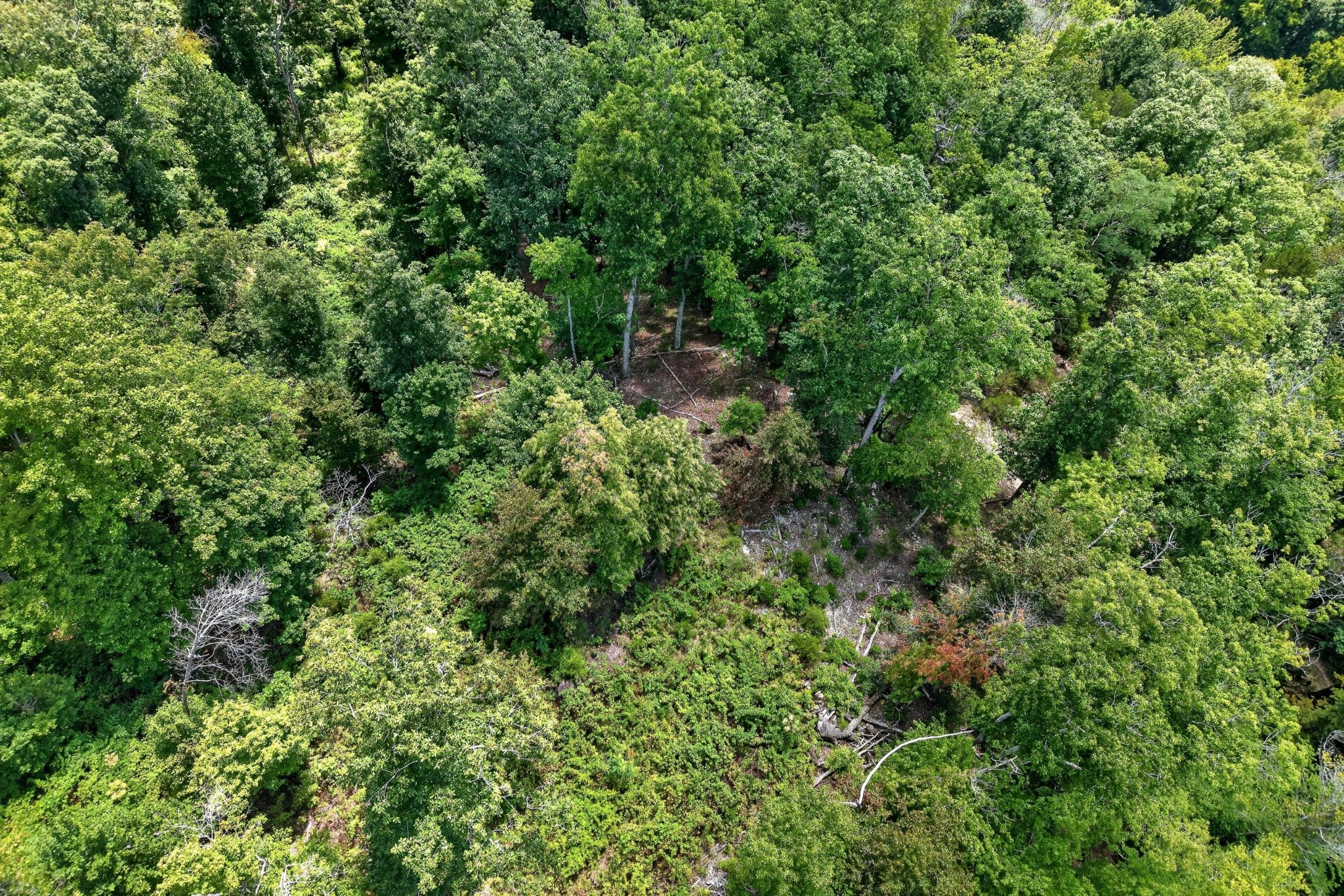 0 Wilmouth Creek Rd