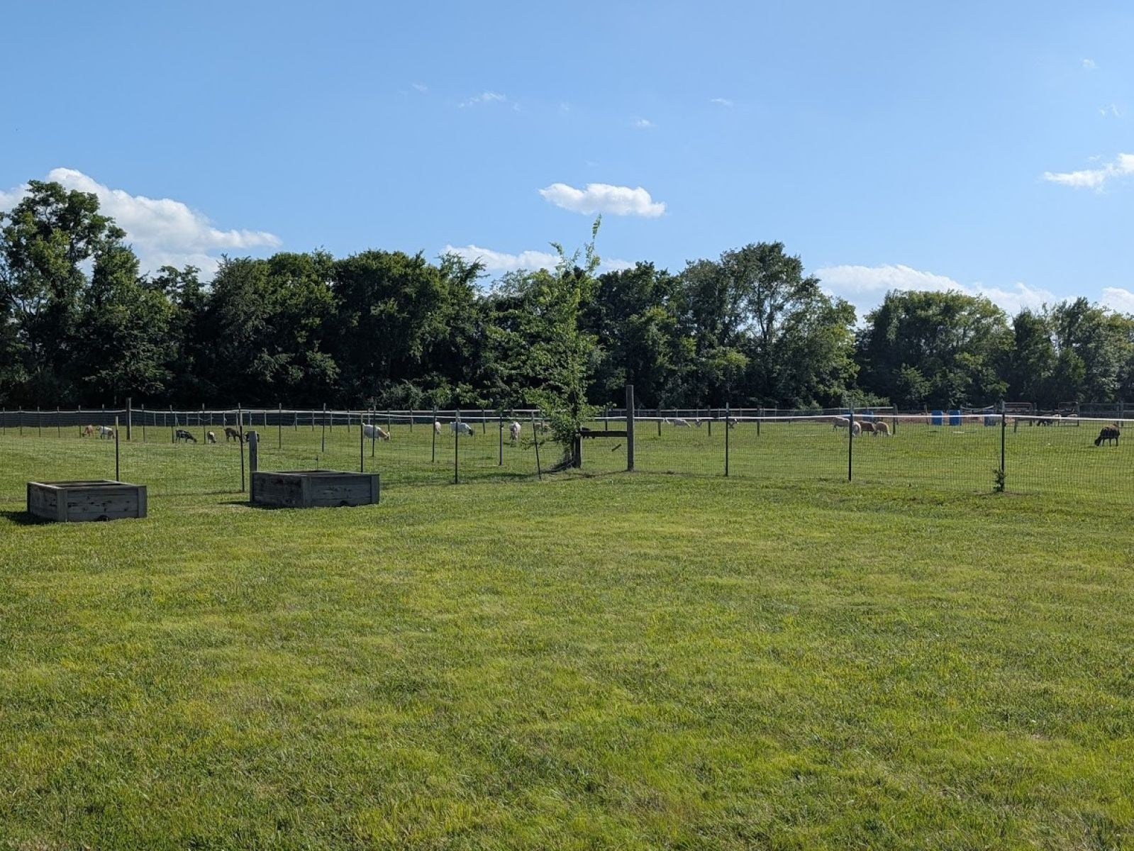 199 Walnut Grove Rd