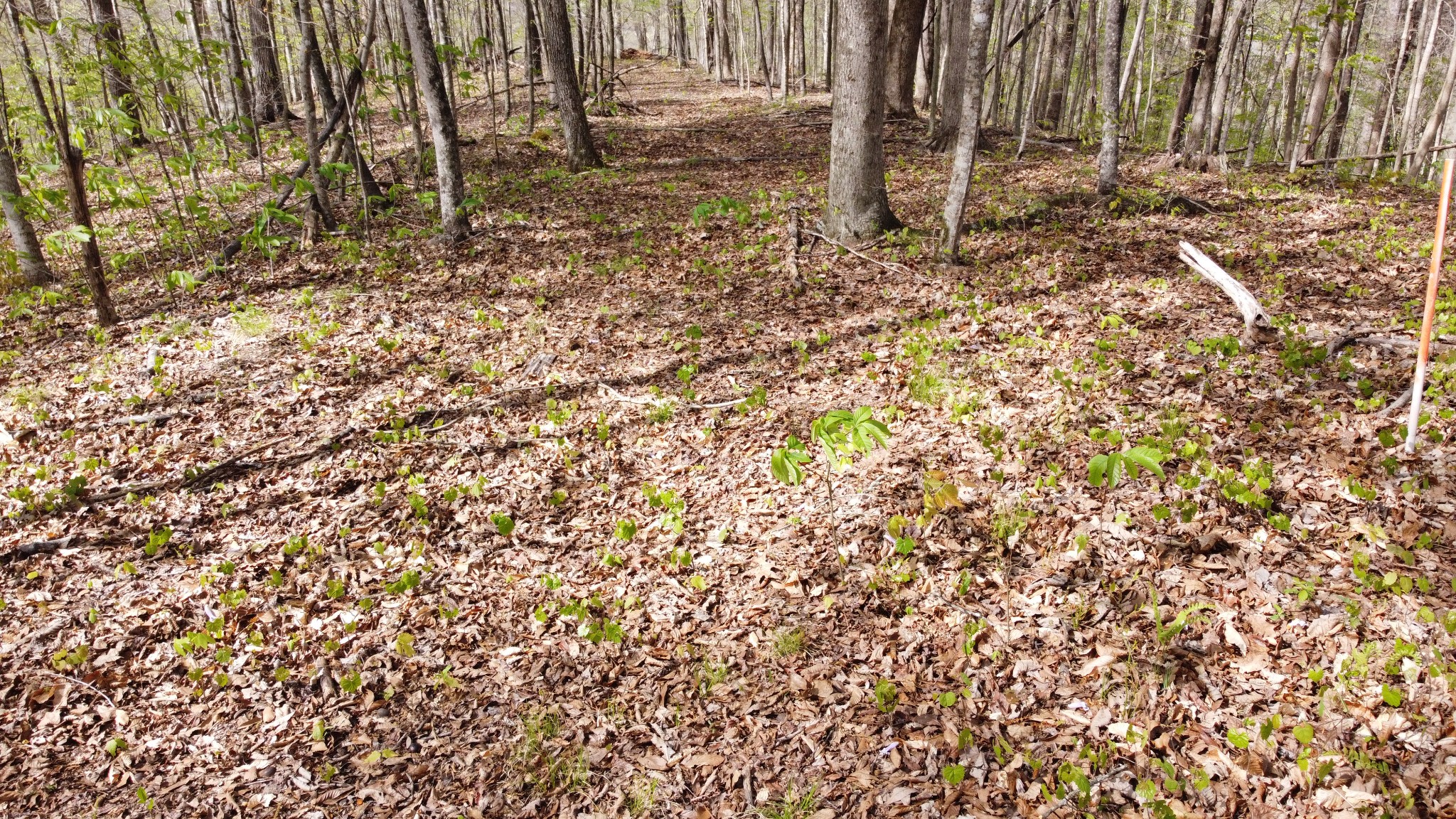 0 Off Johnson Chapel Rd