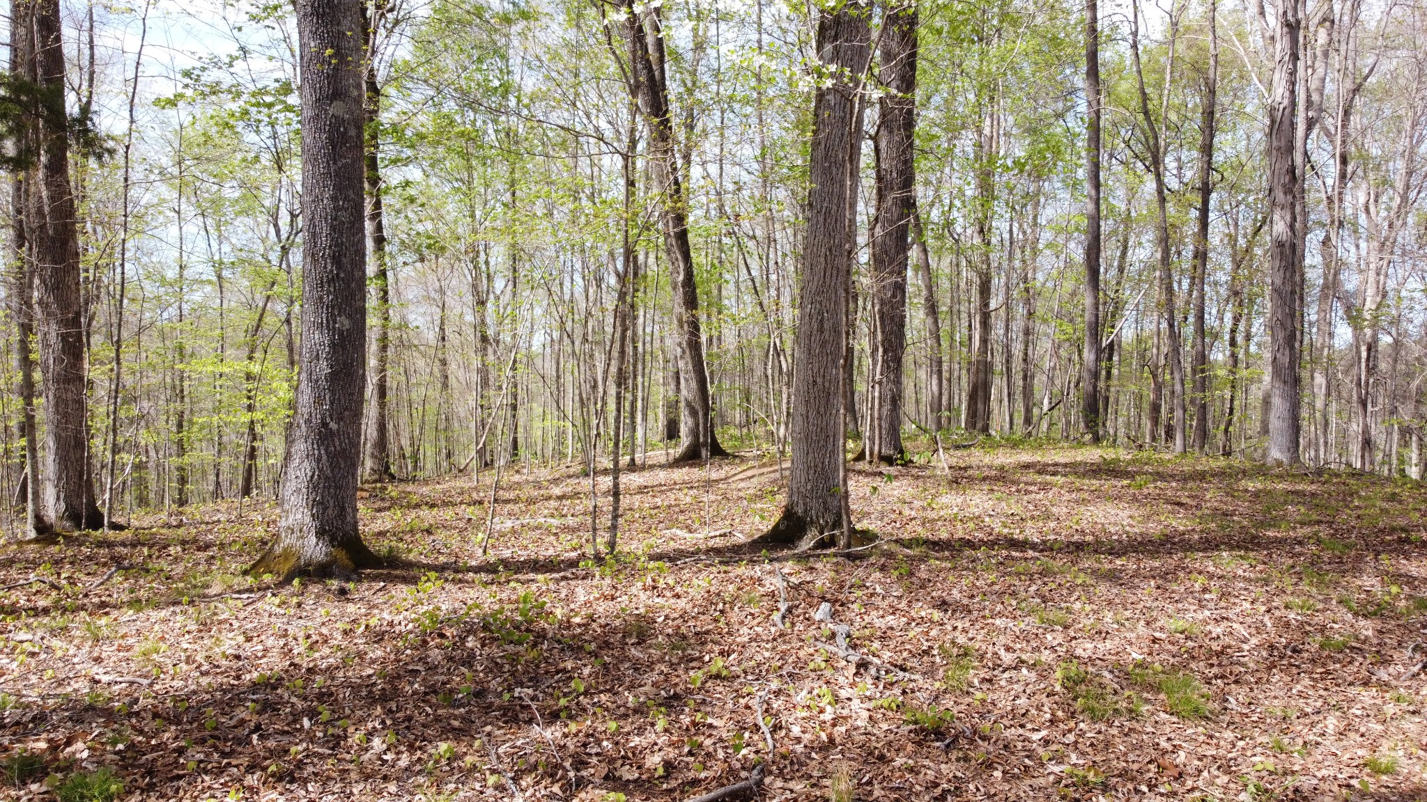 0 Off Johnson Chapel Rd