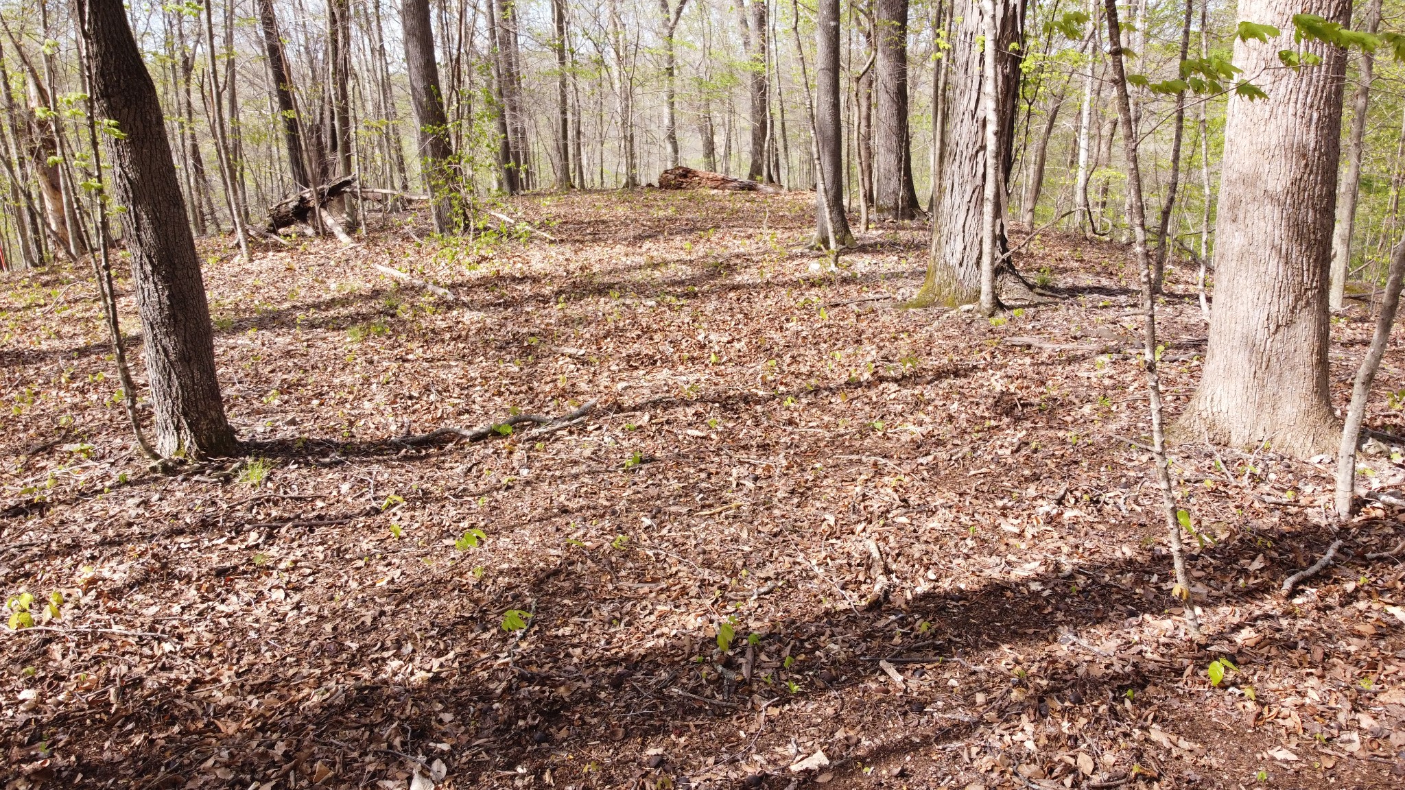 0 Off Johnson Chapel Rd