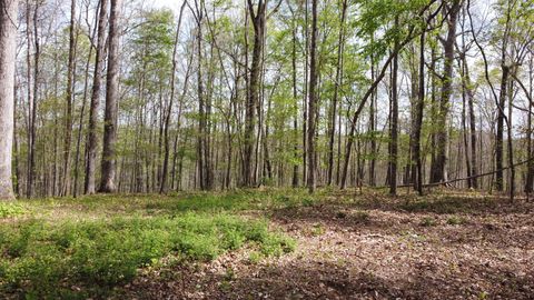 0 Off Johnson Chapel Rd Sparta TN 38583