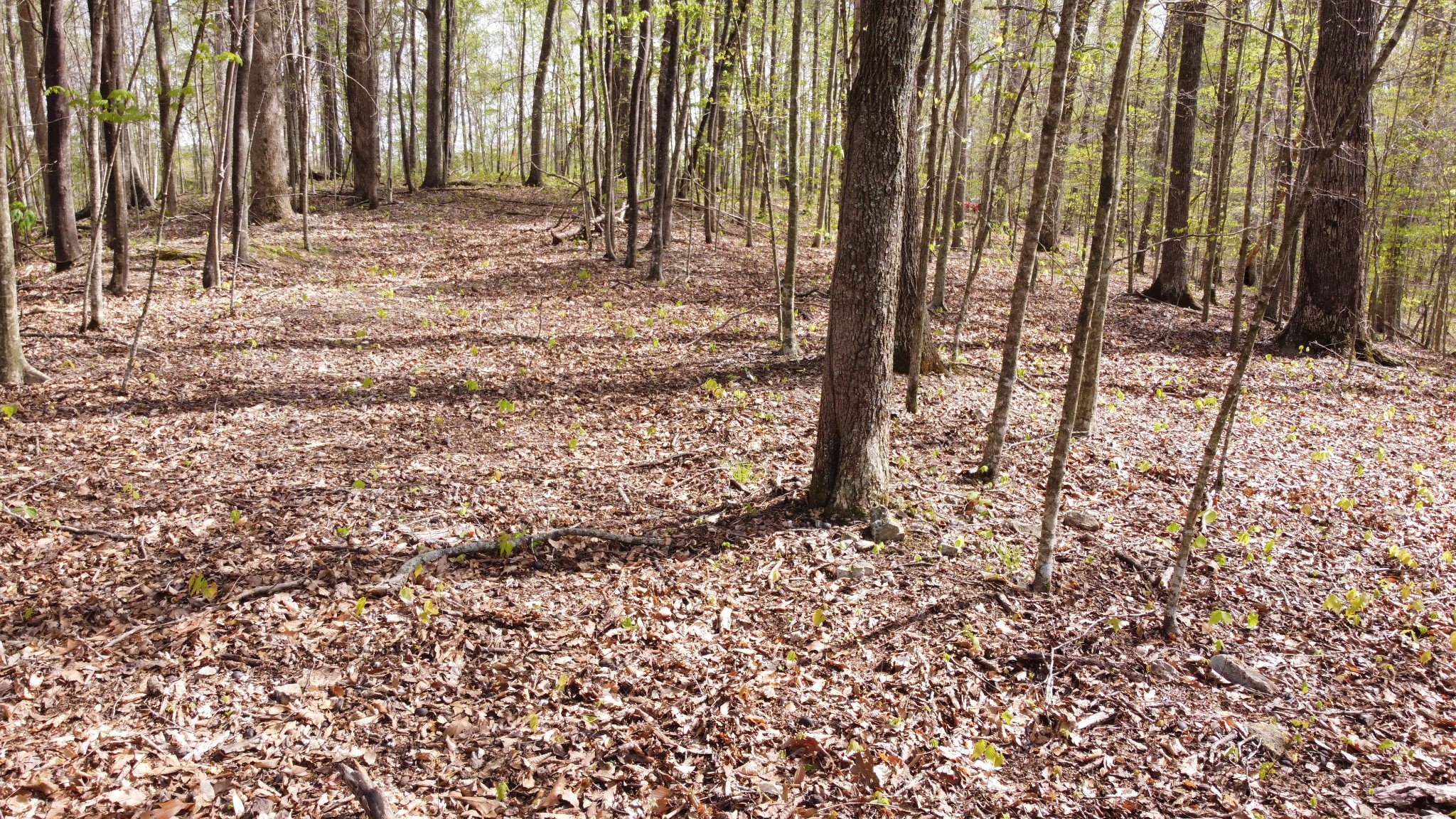 0 Off Johnson Chapel Rd