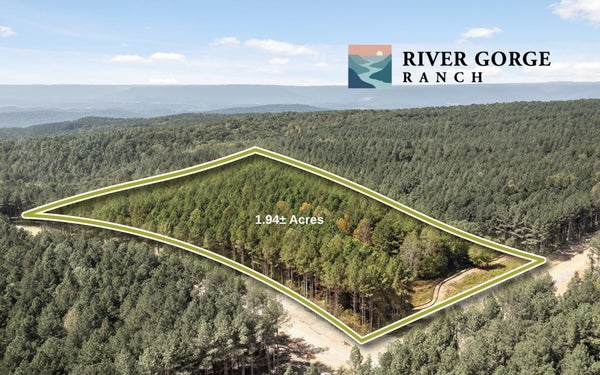 2055 MELODY DRIVE, GUILD, TN 37340 - Image 2cfc8c643c67b3b395b77891bbfcb57b/3338851991