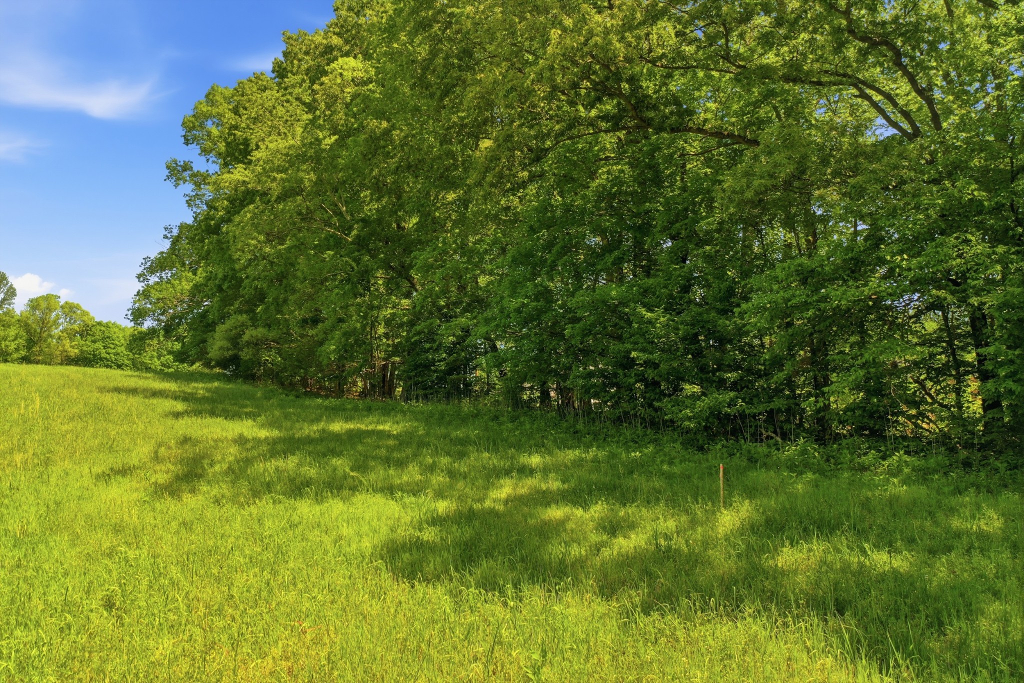 0 Gholson Road