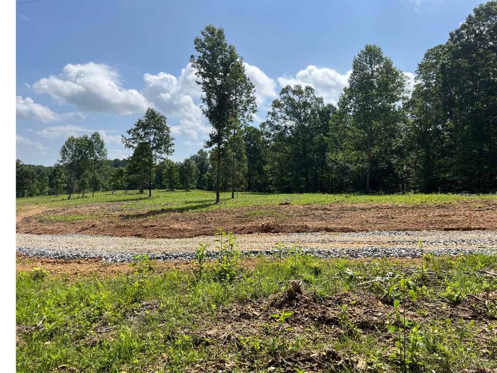 10898 Back Piney Rd