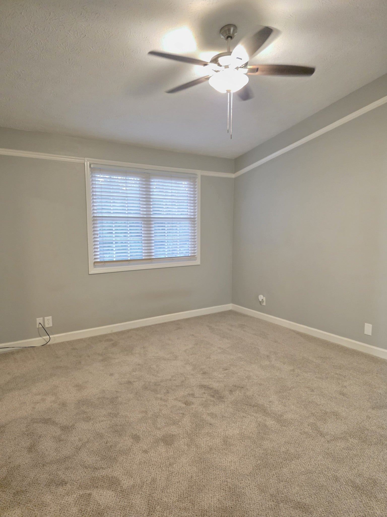 227 Wynbrook Ct