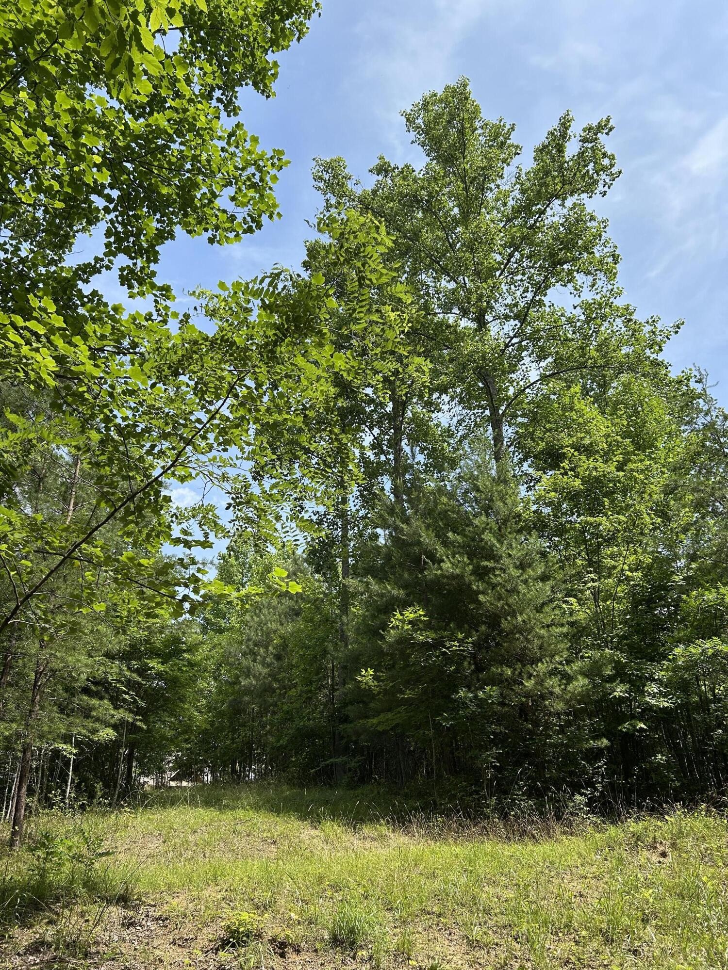 Middle Tennessee Properties 2 1255 Cherokee Path