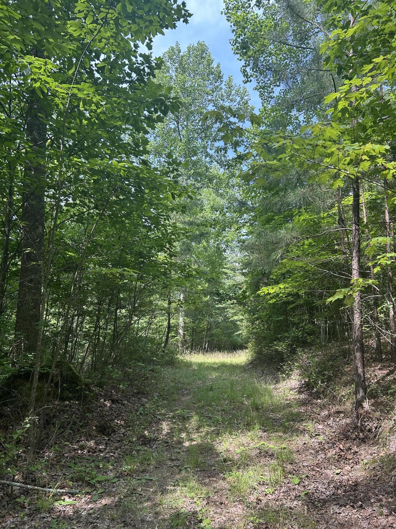 Middle Tennessee Properties 3 1255 Cherokee Path