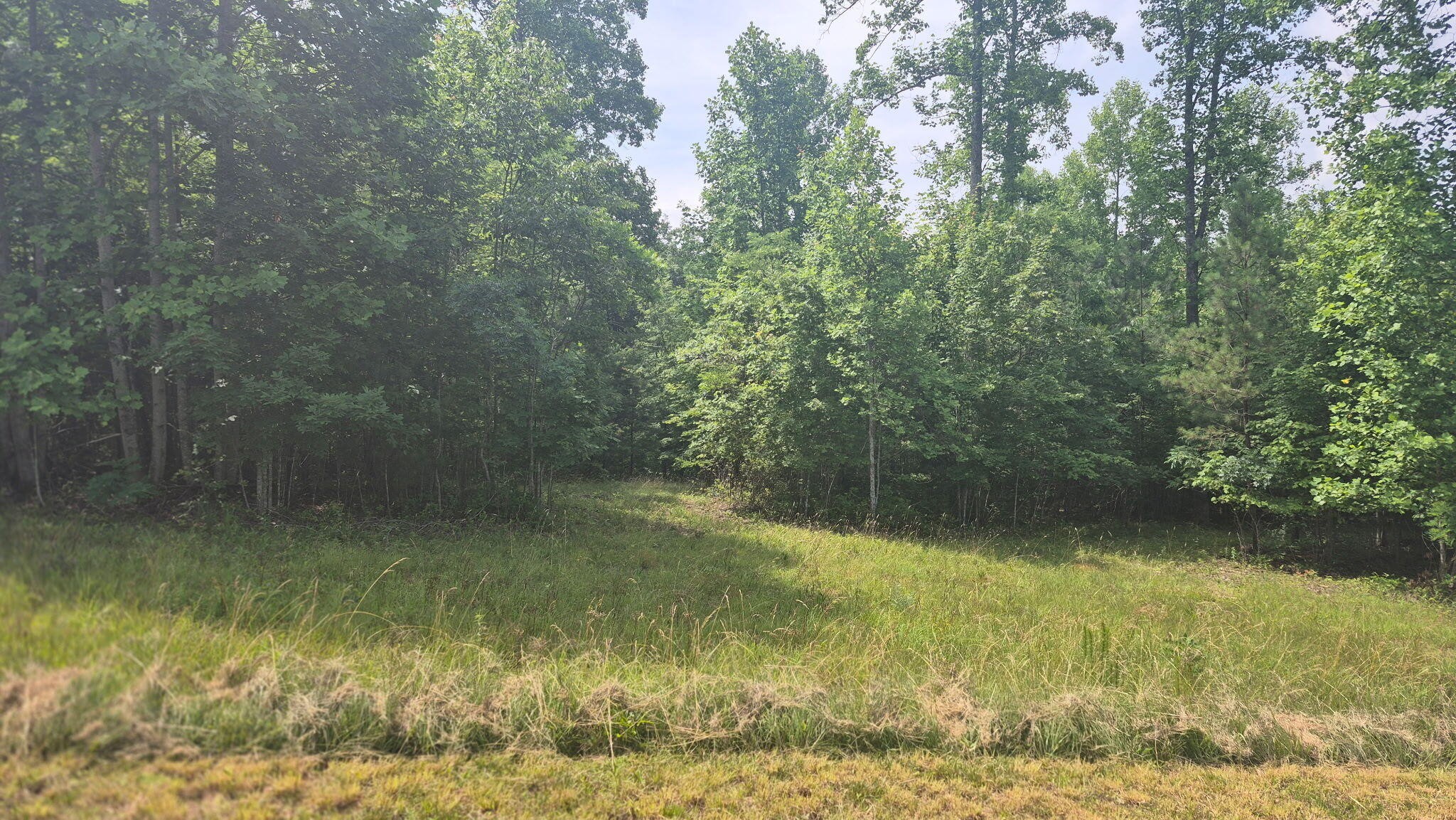 Middle Tennessee Properties 4 1255 Cherokee Path