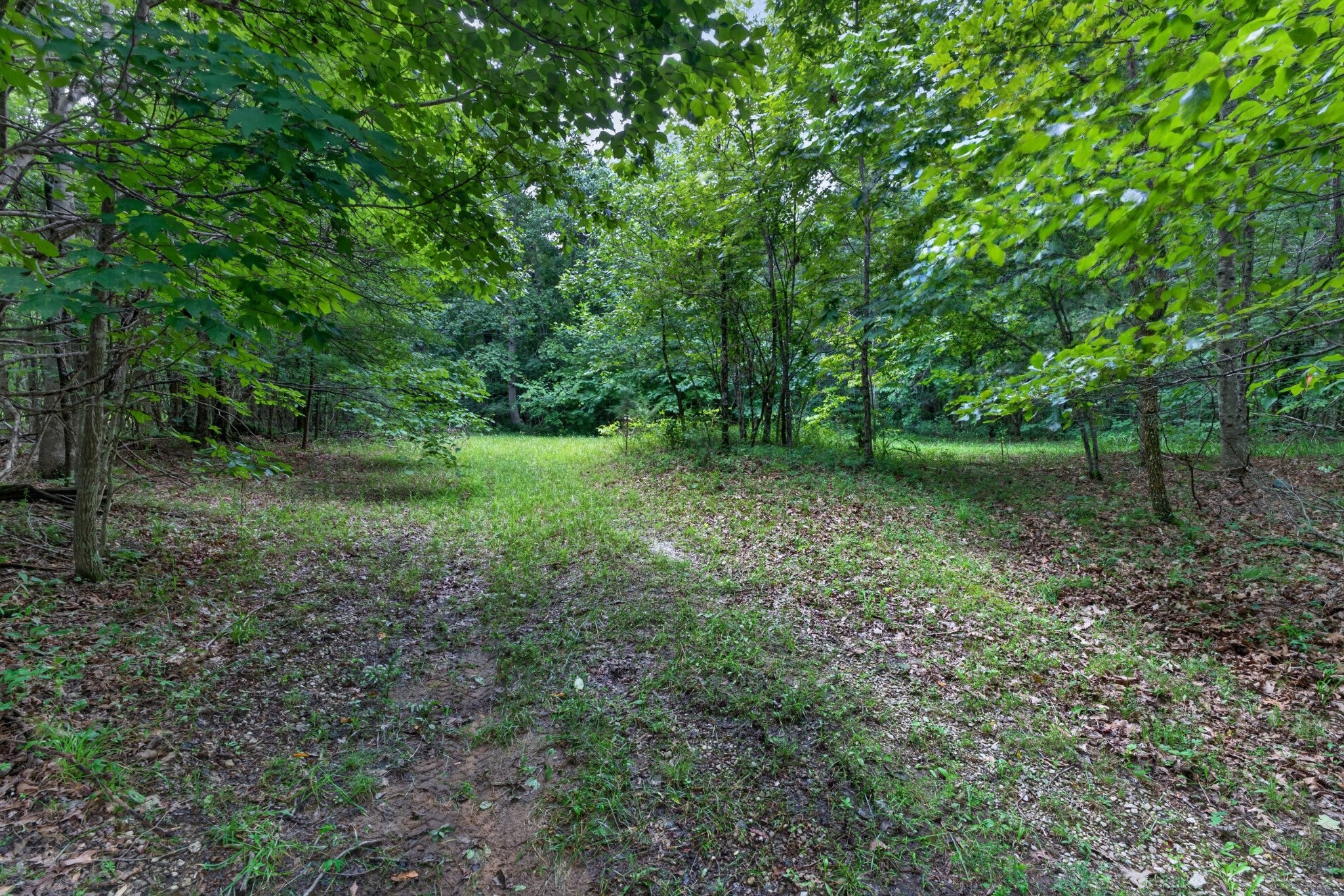 Search Listings 3 0 Eagle Cliff Rd