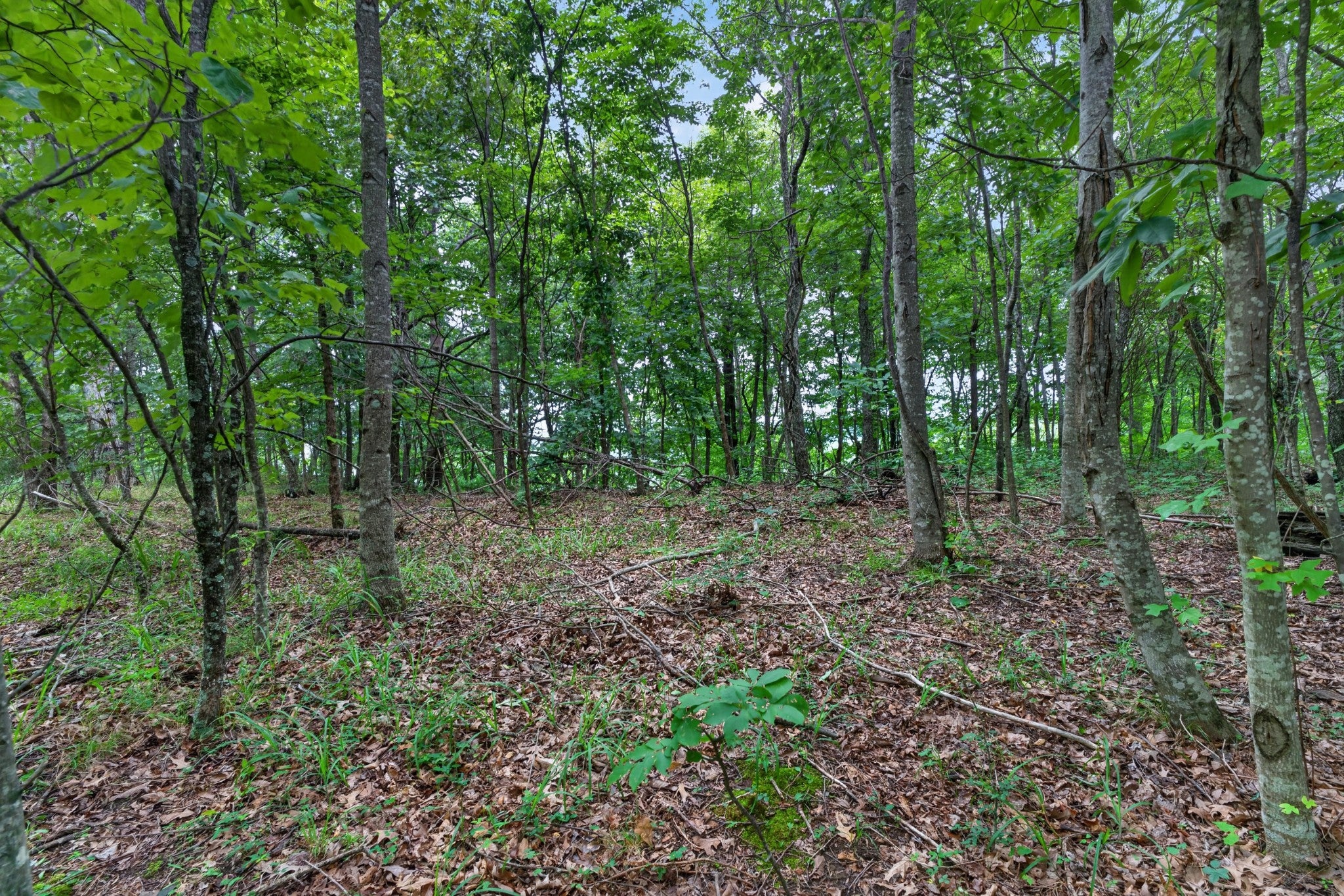 Search Listings 4 0 Eagle Cliff Rd