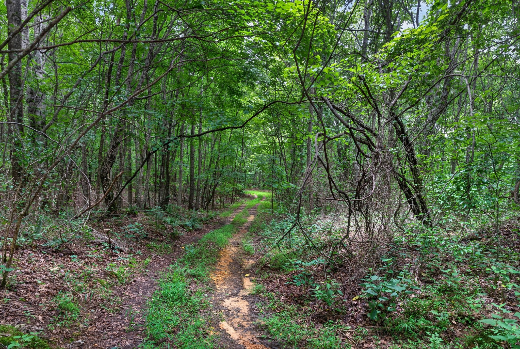 Search Listings 2 0 Eagle Cliff Rd