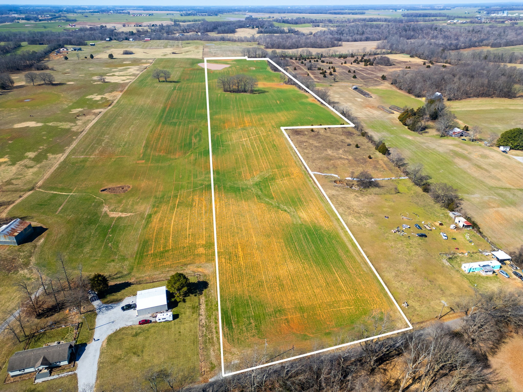 Listing image 7
