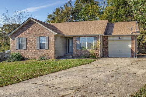 Photo of 1113 Odom Ct, Smyrna, TN 37167 (MLS # 3067564)