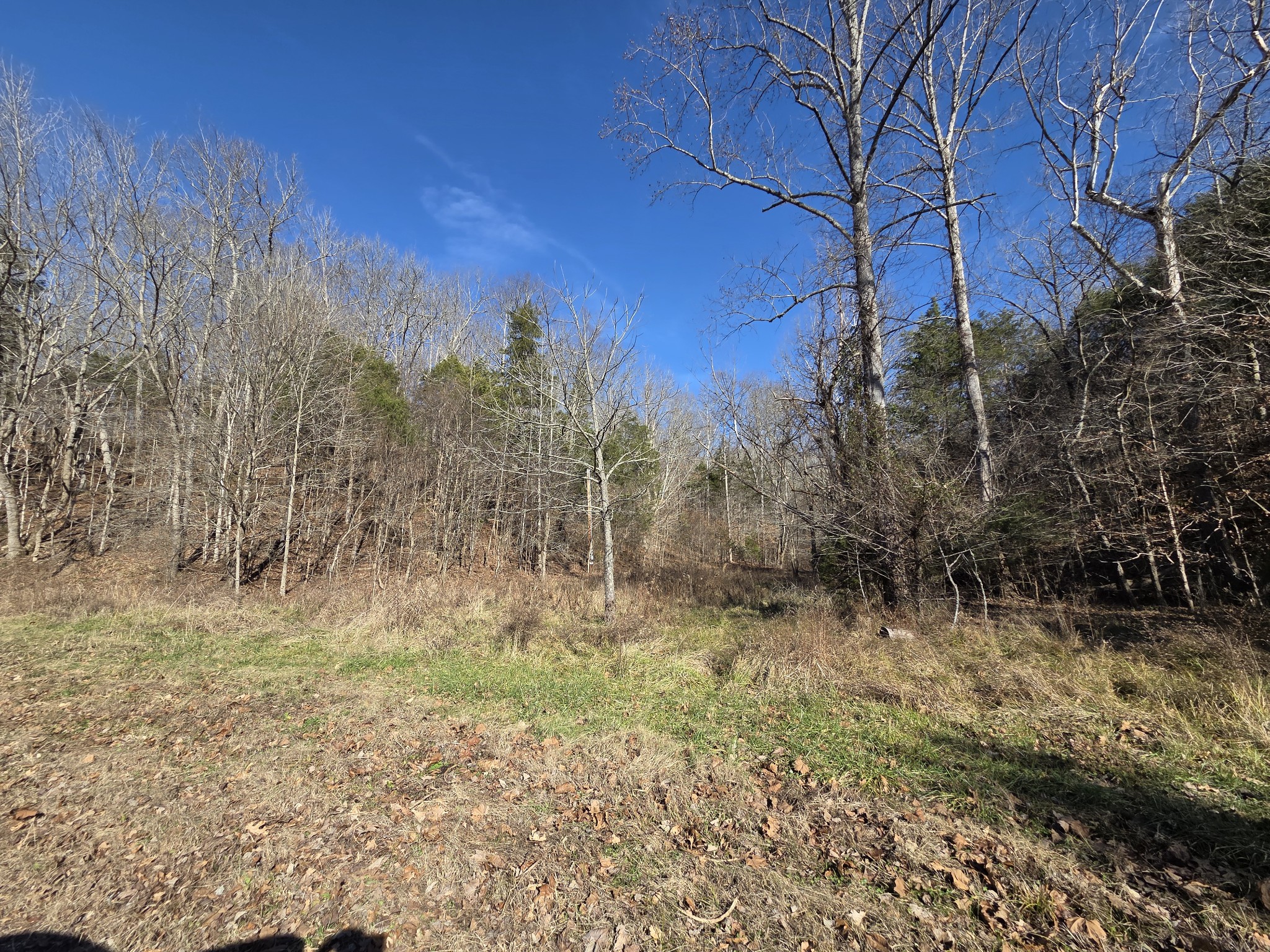 0 Upper Brush Creek Rd