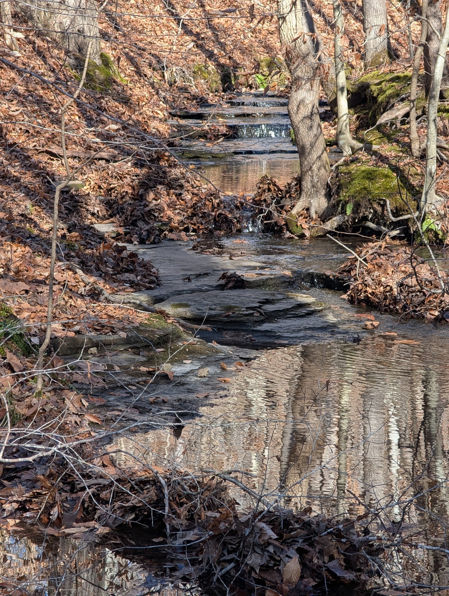 0 Upper Brush Creek Rd