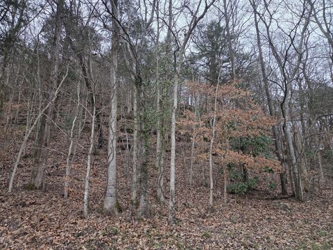 0 Upper Brush Creek Rd Linden TN 37096