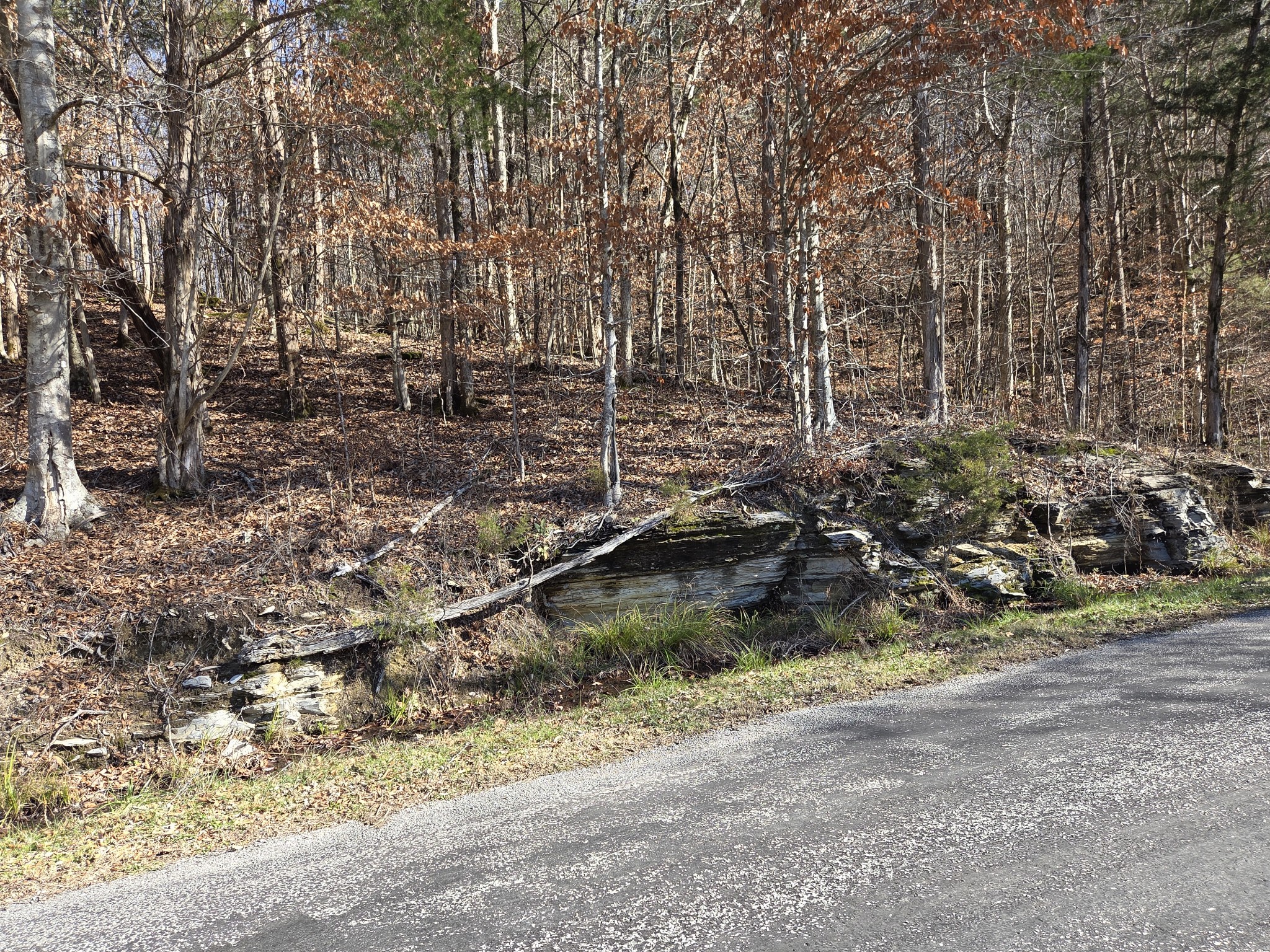 0 Upper Brush Creek Rd