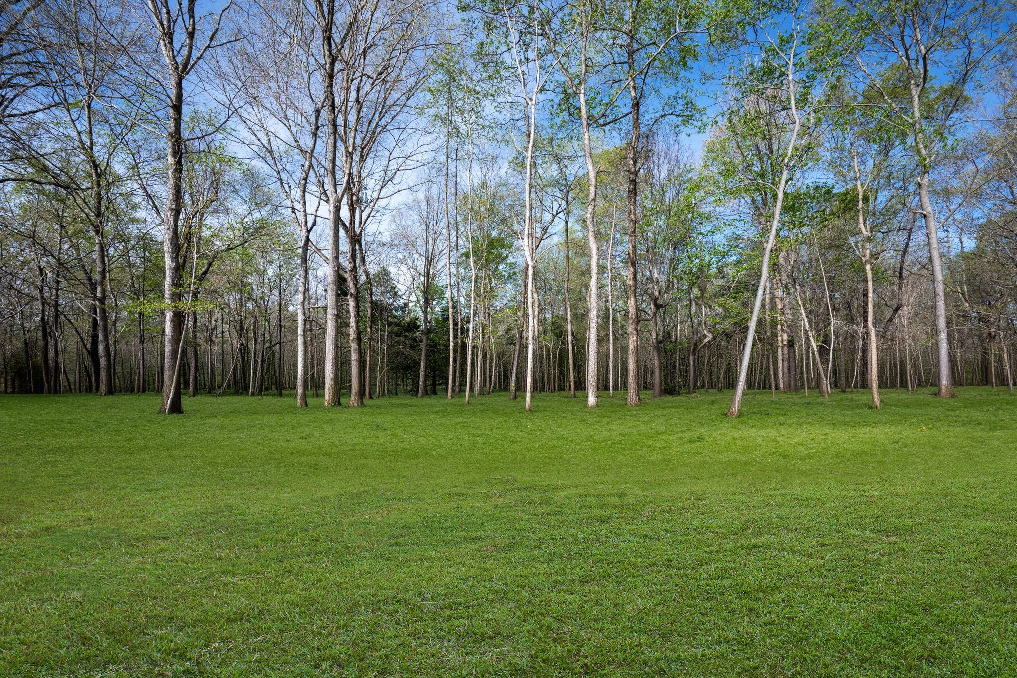 1416 East Piney Road