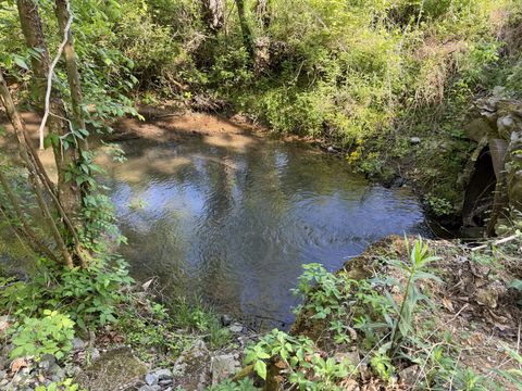 5073 Jones Valley Rd Williamsport TN 38487