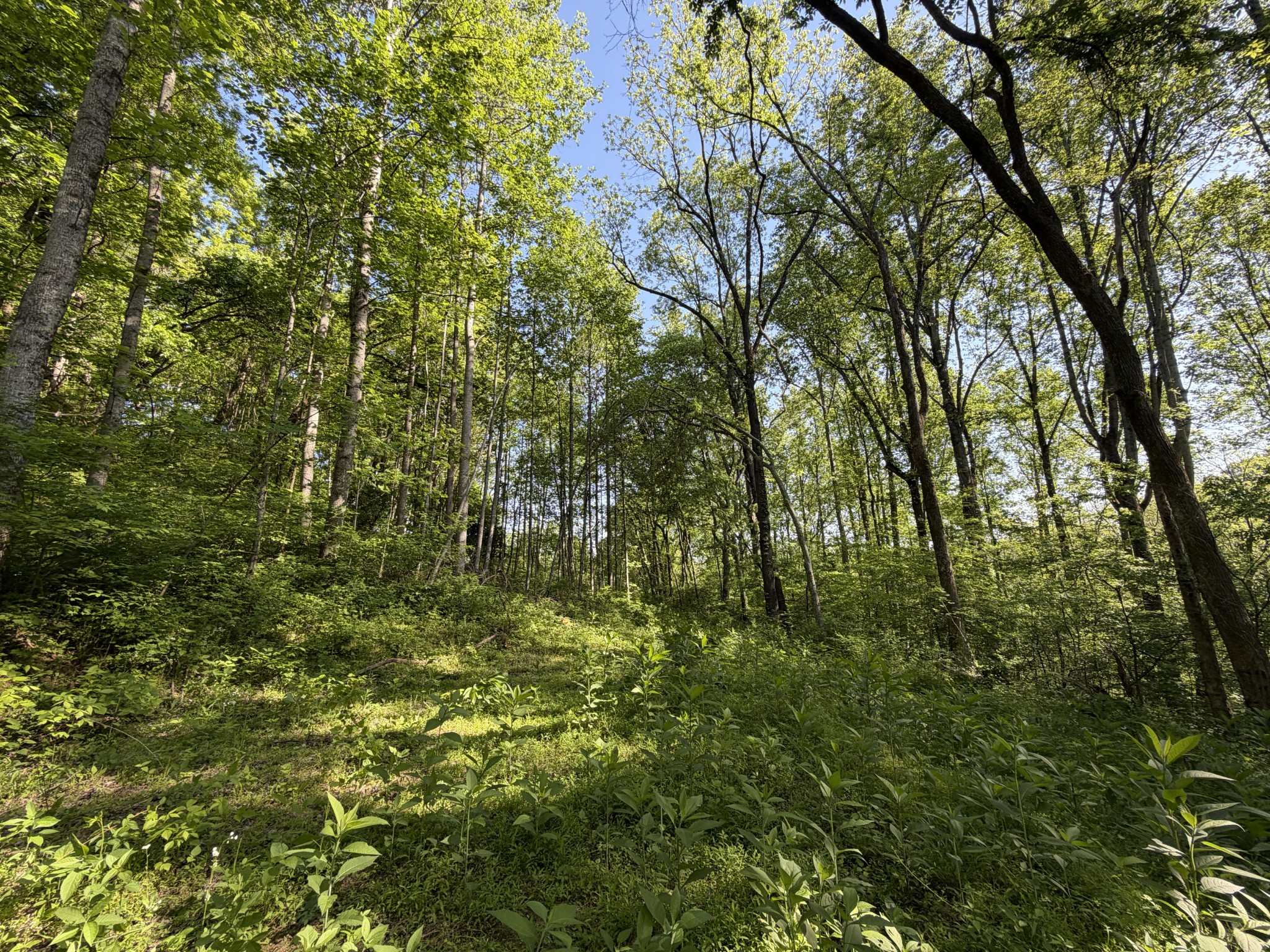 5073 Jones Valley Rd