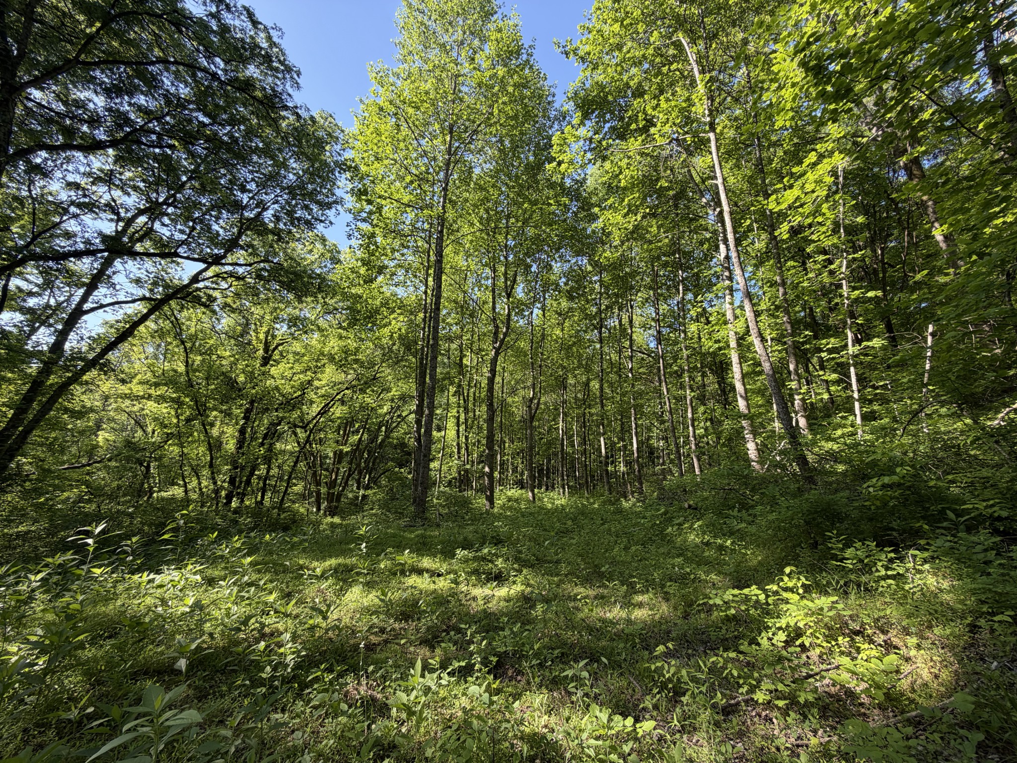 5073 Jones Valley Rd