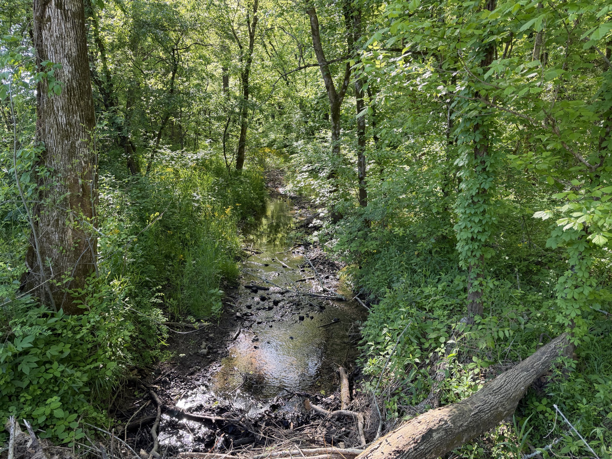 5073 Jones Valley Rd