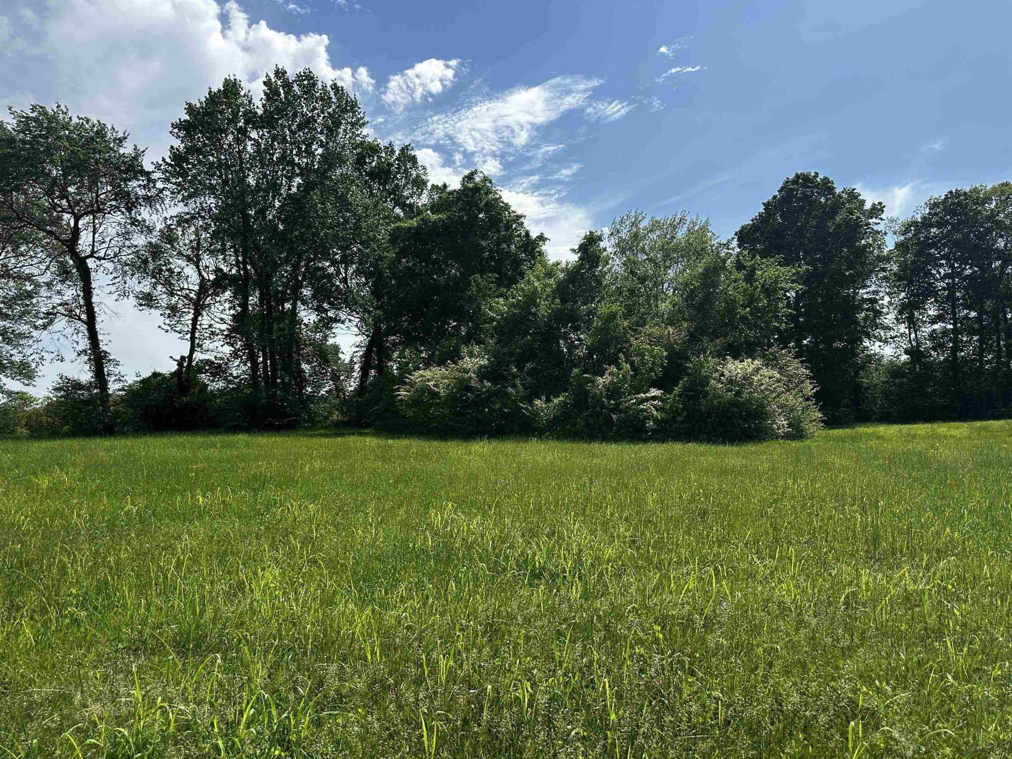 0 CATFISH LN