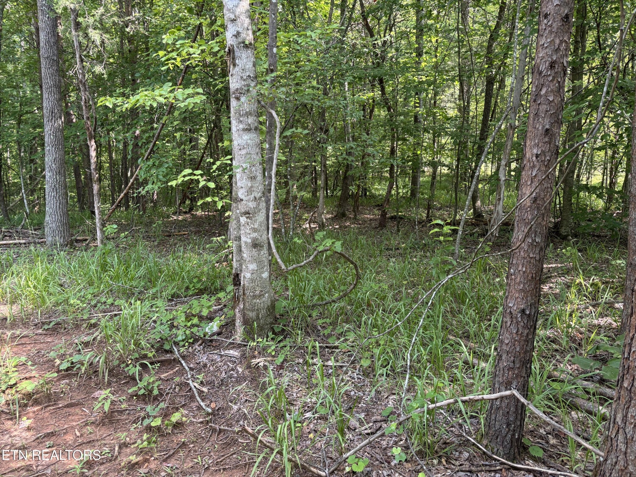 130 Tellico Camp Rd