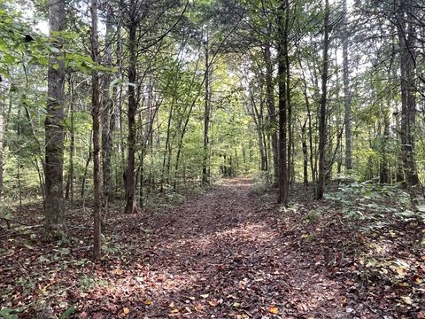 Photo of 0 Waters Rd, Centerville, TN 37033 (MLS # 2991465)