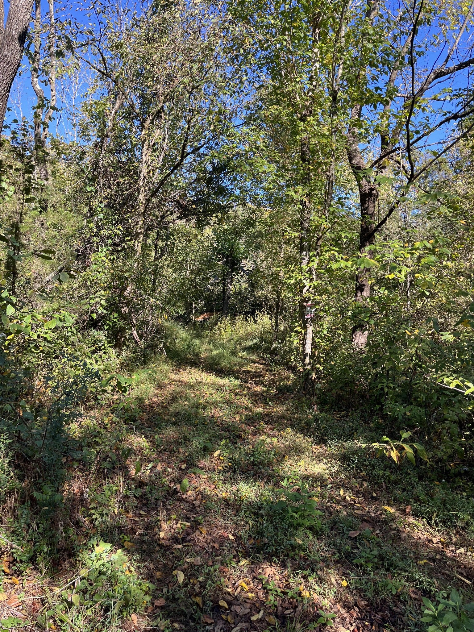 665 Bugg Hollow Rd