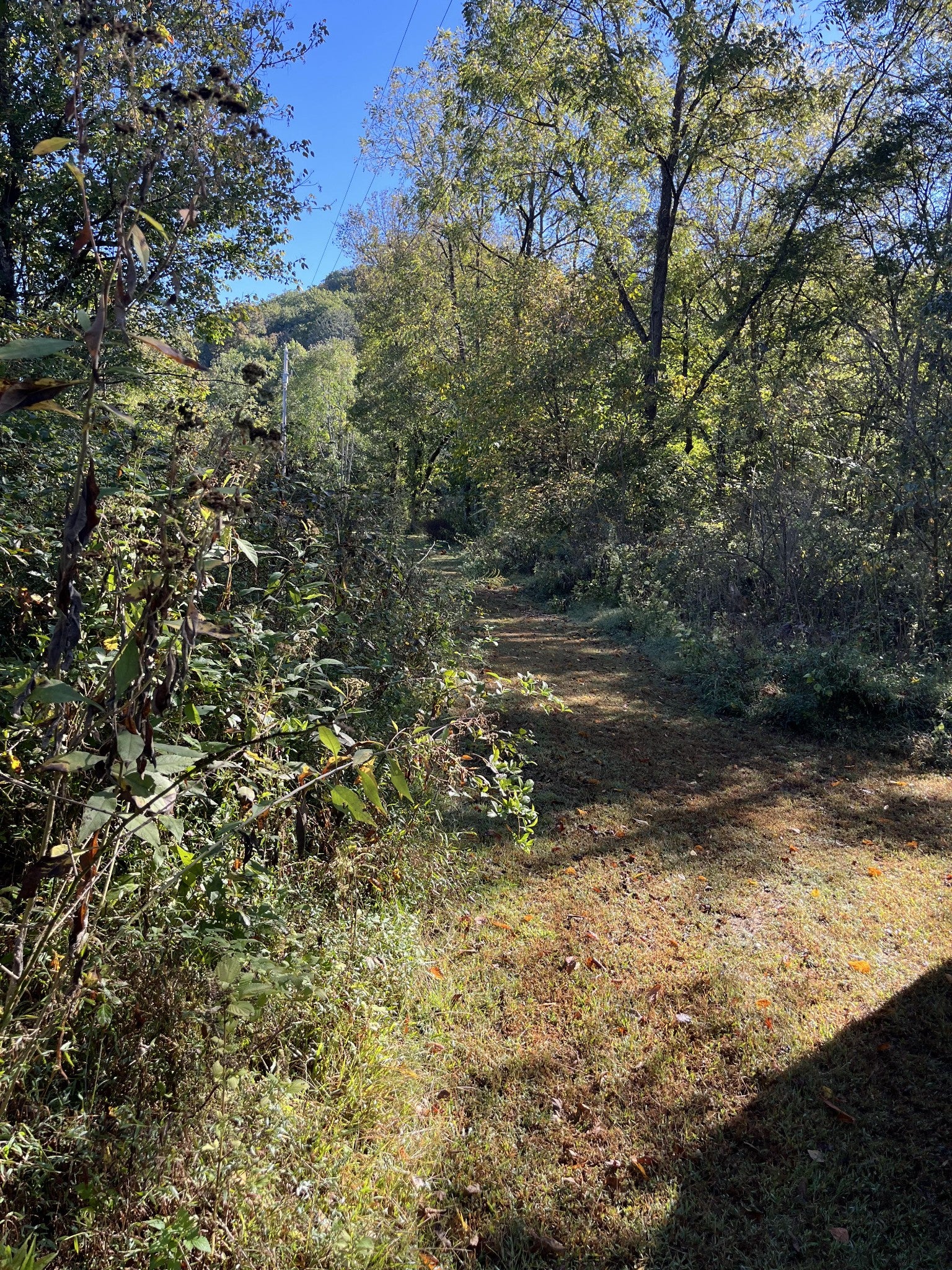 665 Bugg Hollow Rd