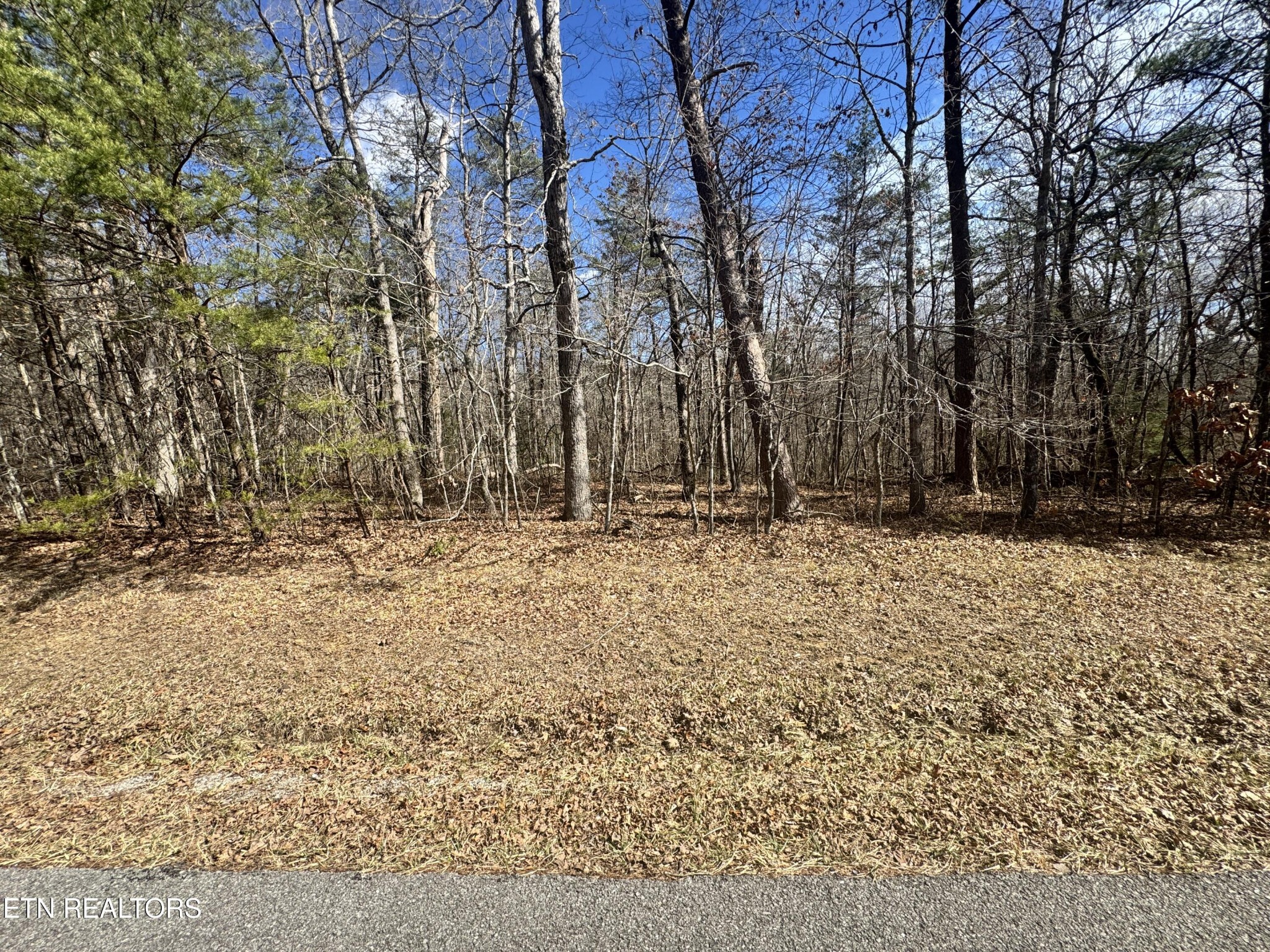 0 Cumberland Lakes Drive