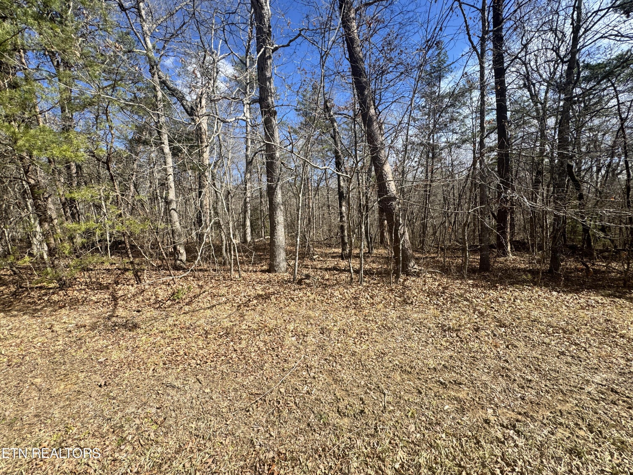 0 Cumberland Lakes Drive