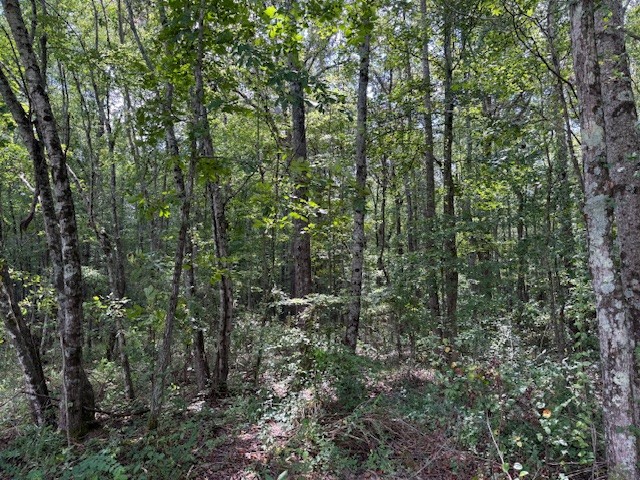 1897 Goforth Rd