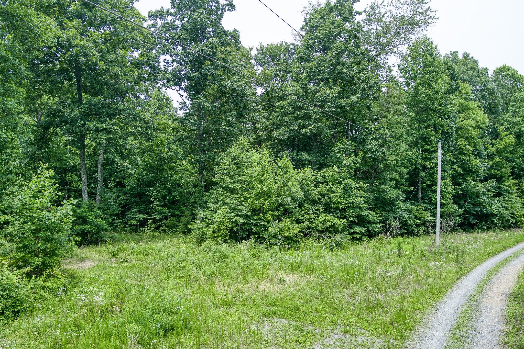 0 Twin Oak Lane