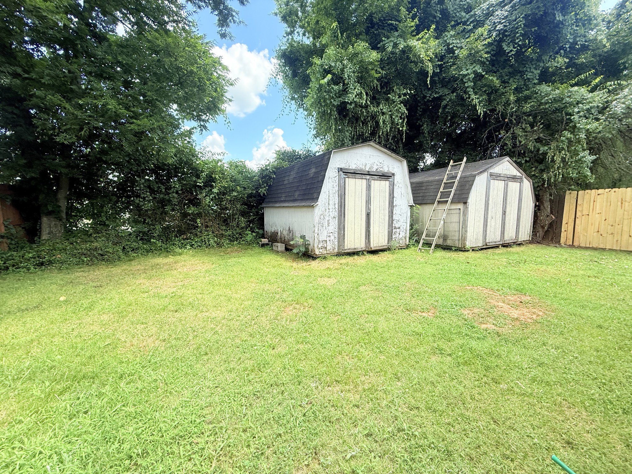 314 Lilly Ln