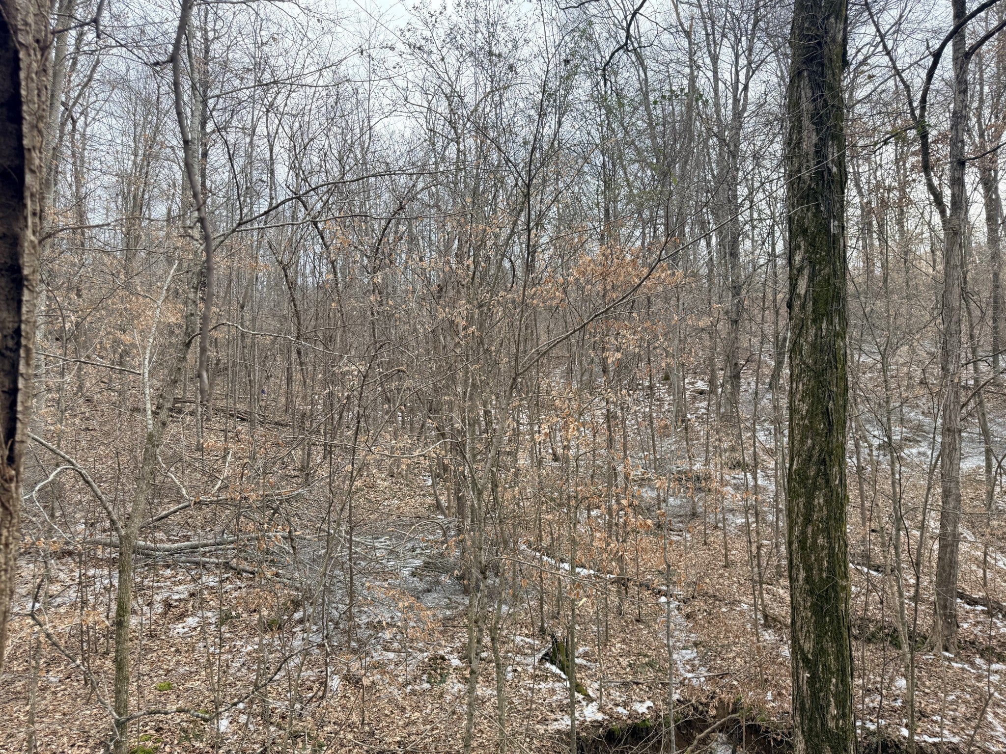 0 Scott Branch Rd