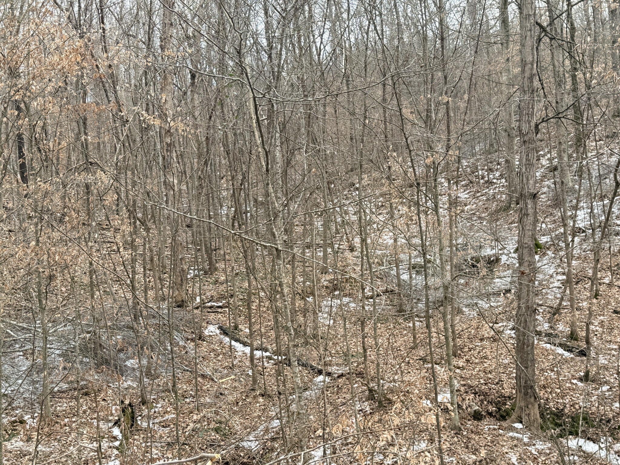 0 Scott Branch Rd