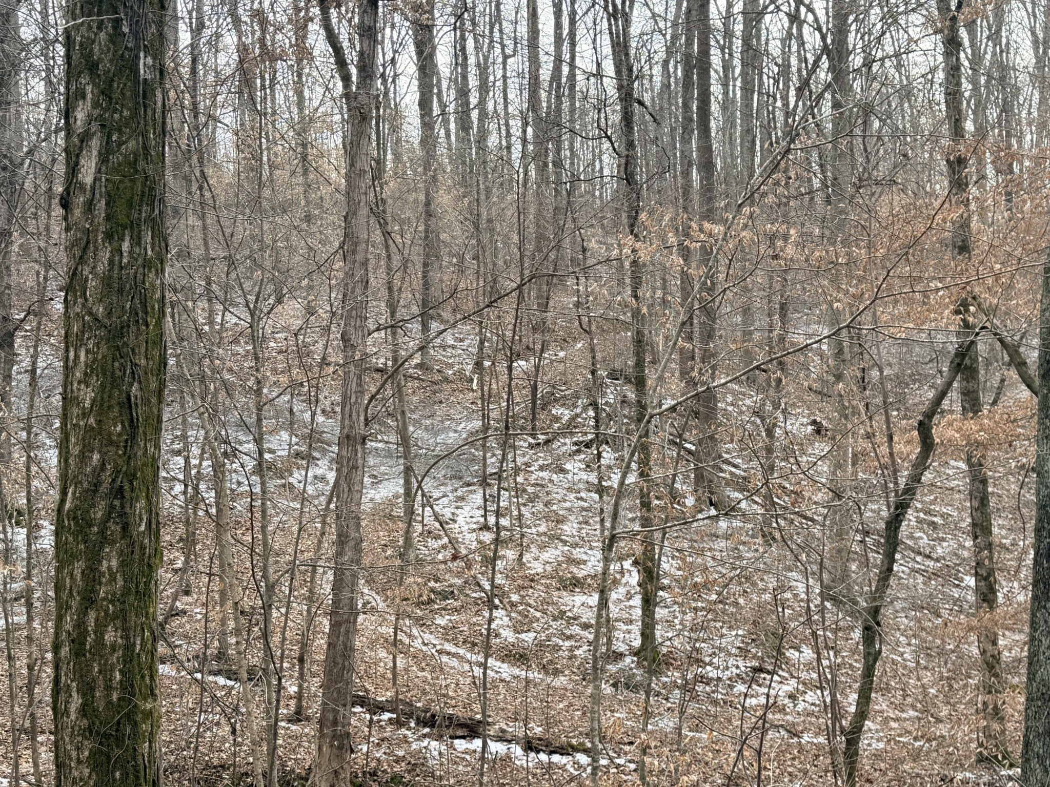 0 Scott Branch Rd
