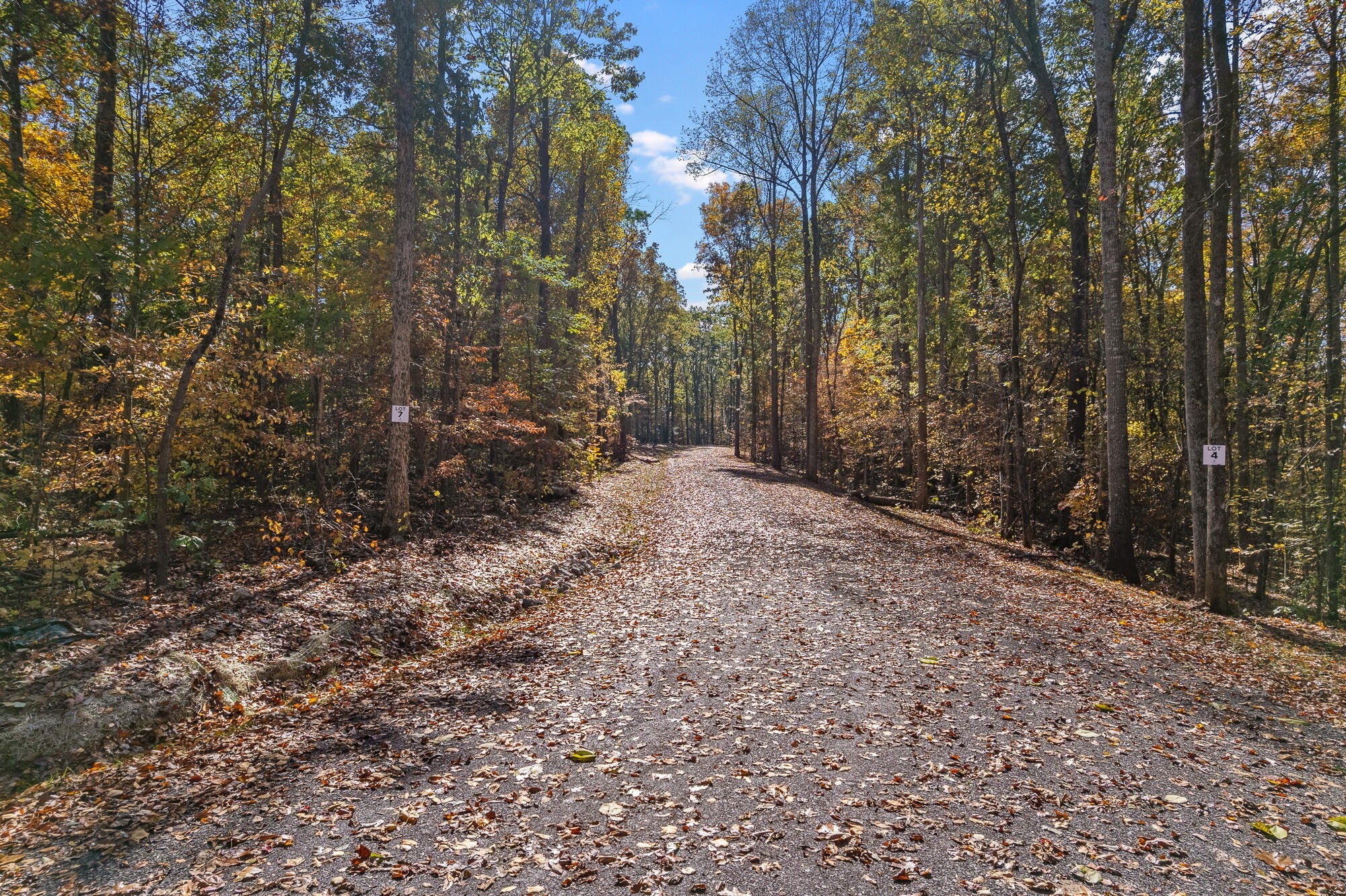 6 County Road 29