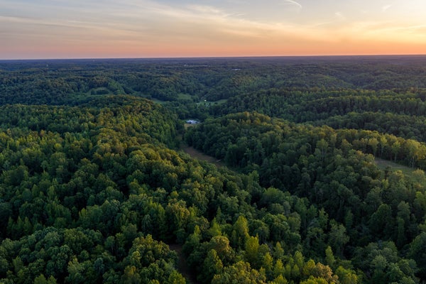 2073 DOG BRANCH RD, PROSPECT, TN 38477 - Image 2e6dca4ca933430630dfef01c38bccd1/251222021