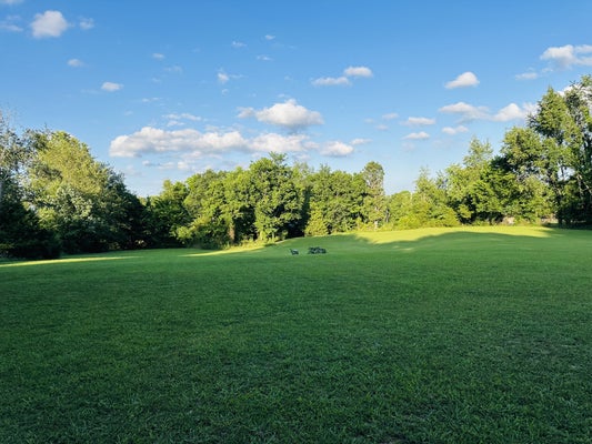 3345 KNIGHT RD, WOODLAWN, TN 37191 - Image 2e84c2c2f1c0a335b80f02e47a408d73/235926452
